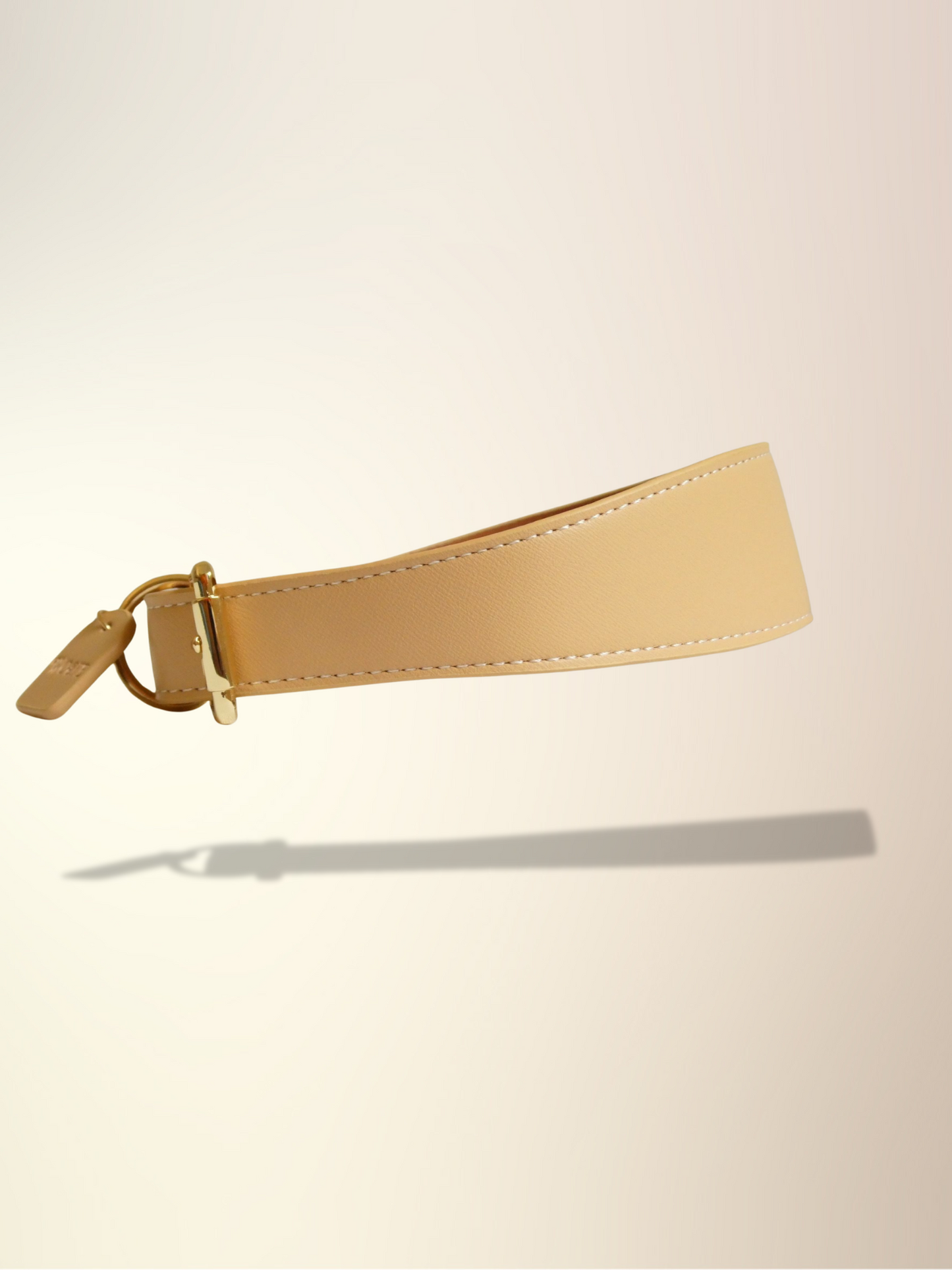 Milk Tea Collar & Lead