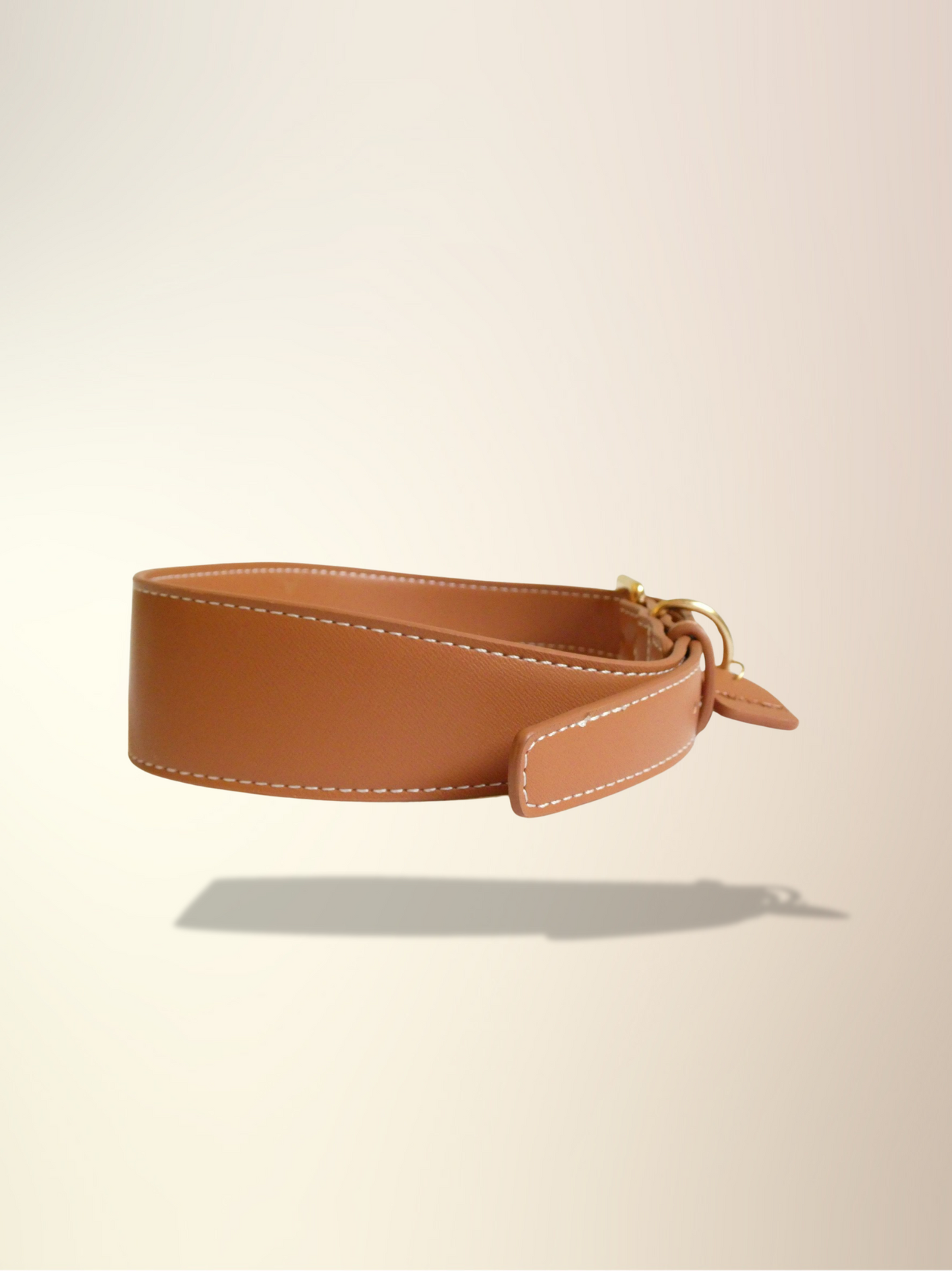 Mocha Collar & Leash Set