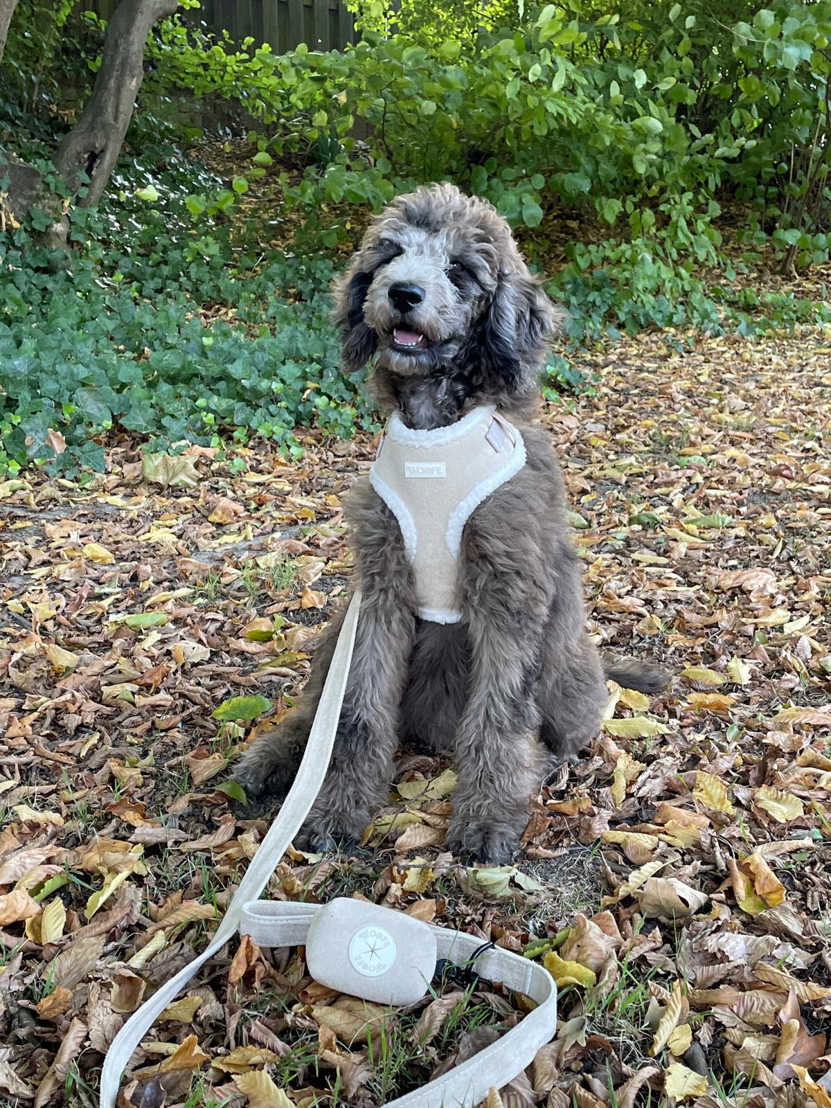 Beige Fur Harness & Leash with Free Waste Bag Holder