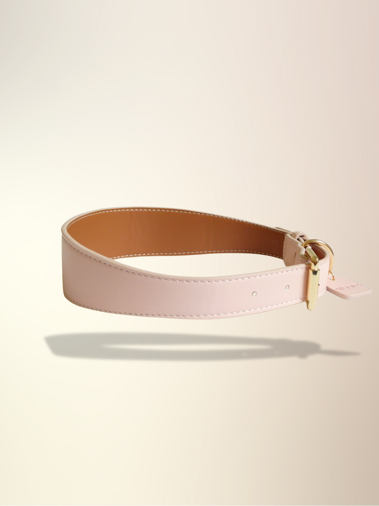 Candy Floss Collar & Leash