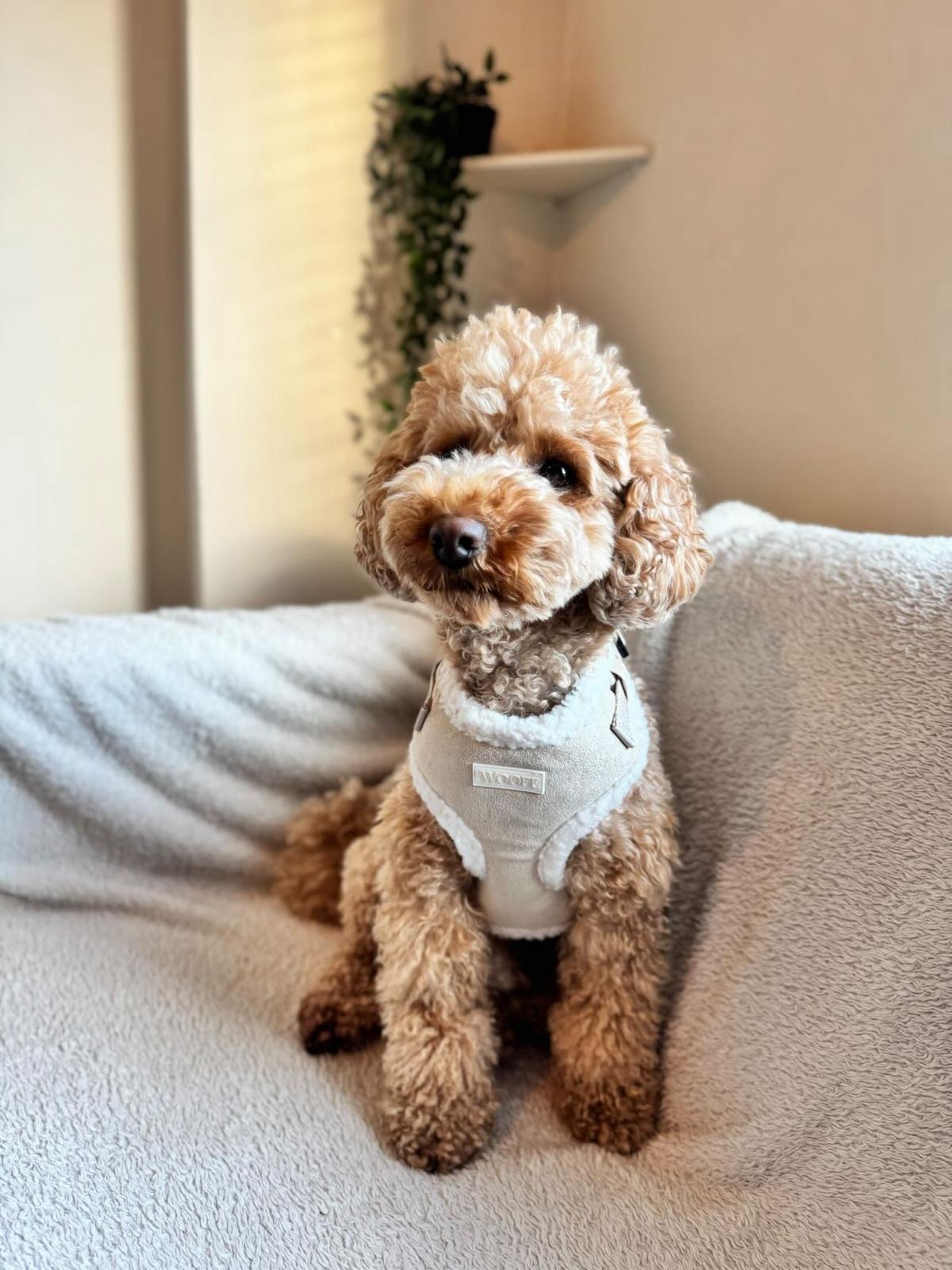 Beige Fur Harness & Leash with Free Waste Bag Holder