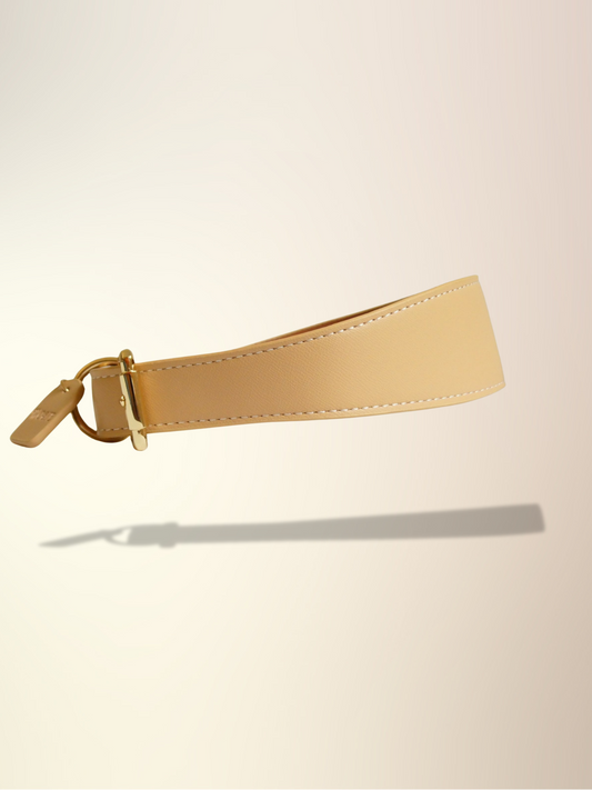 Milk Tea Collar & Lead