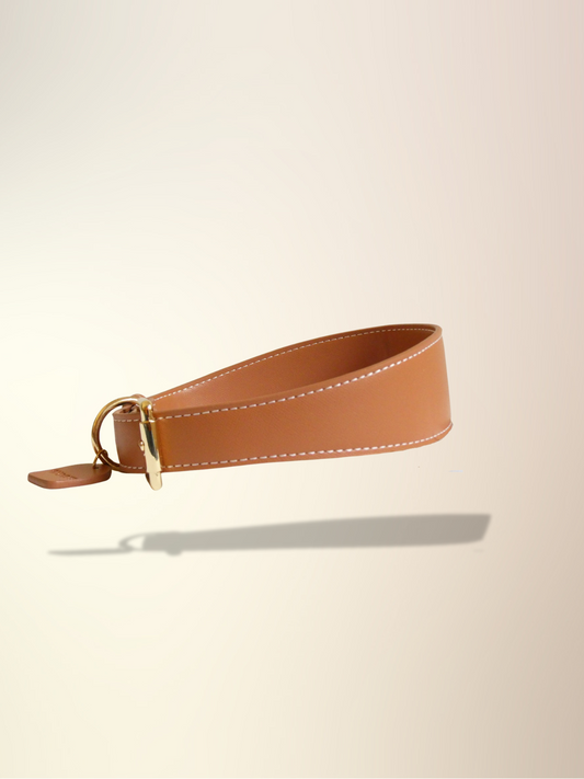 Mocha Collar & Leash Set