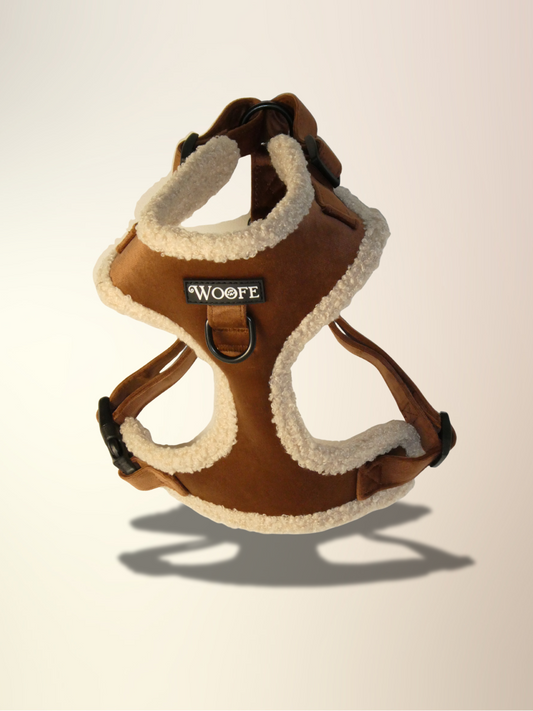 The Velvet Bear Harness & Leash