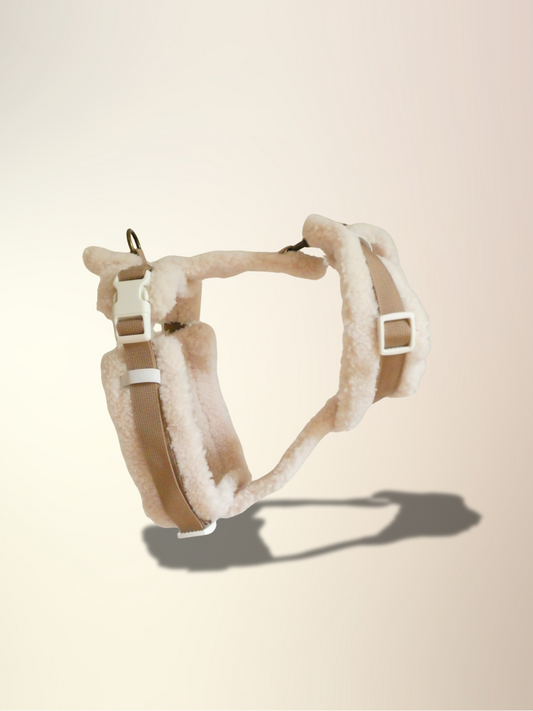 The Sherpa Bear Harness