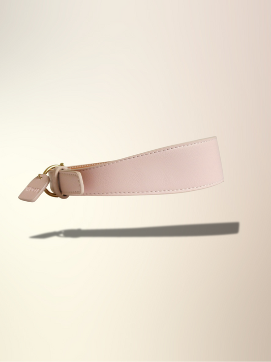 Candy Floss Collar & Leash